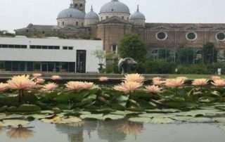 1.400 visitatori in tre giorni per il percorso olfattivo di Accademia del Profumo all’Orto Botanico di Padova - Accademia del Profumo 1.400 visitatori in tre giorni per il percorso olfattivo di Accademia del Profumo all’Orto Botanico di Padova - Accademia del Profumo