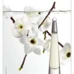 Issey Miyake - L'Eau d'Issey - Accademia del Profumo