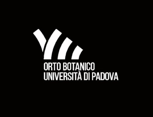 il percorso olfattivo a Padova, 16-18 giugno 2017