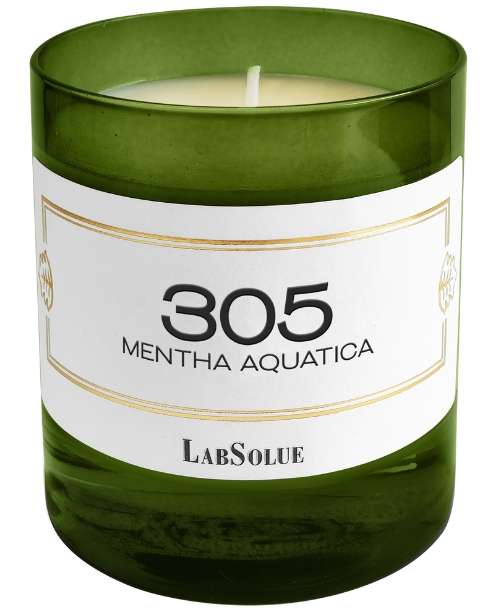 LabSolue - 305 Mentha Aquatica - Accademia del Profumo