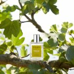 Acca Kappa - White Fig & Cashmere - immagine 2