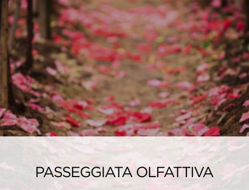 Passeggiata Olfattiva nel cuore di Milano