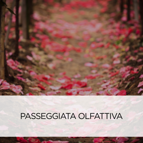 Passeggiata Olfattiva nel cuore di Milano - Accademia del Profumo