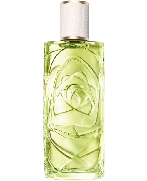 Lancôme - Ôff Now - Accademia del Profumo Lancôme - Ôff Now - Accademia del Profumo