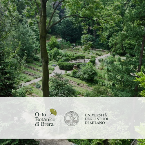 Profumo di Natura: i segreti degli aromi vegetali Orto Botanico di Milano Brera - Accademia del Profumo