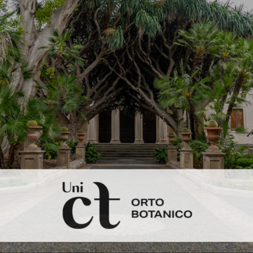 Arte profumiera, musica e pittura Orto Botanico Università di Catania - Accademia del Profumo