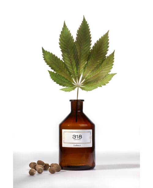 LabSolue 318 - Canapa - Accademia del Profumo LabSolue 318 - Canapa - immagine 2